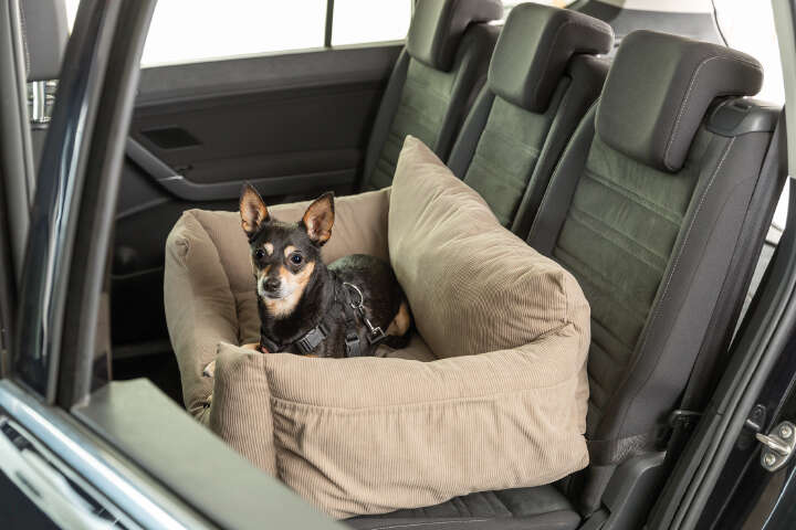 TRIXIE Hunde-Autositz Cord